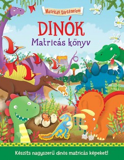 Dnk - Matrics knyv