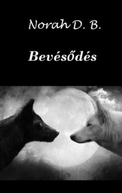 Norah D. B. - Bevésődés