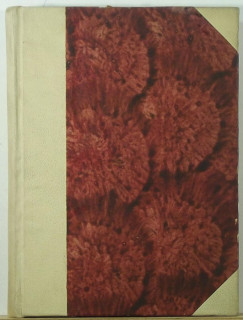 Vajda Ernő - A majomember és az embermajom