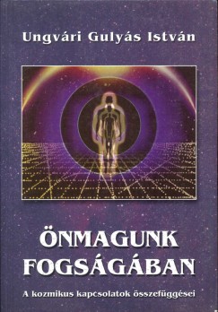 Ungvri Gulys Istvn - nmagunk fogsgban
