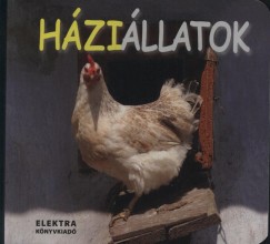 Rkai Andrs  (Szerk.) - Hzillatok