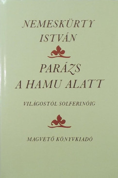 Nemeskrty Istvn - Parzs a hamu alatt