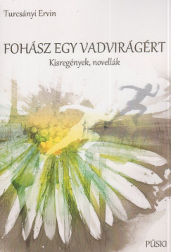 Turcsányi Ervin - Fohász egy vadvirágért