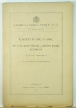 Mesocetus hungaricus kadic
