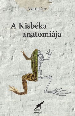 Aknai Pter - A kisbka anatmija