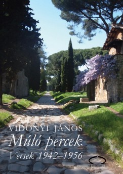 Vidonyi János - Múló percek