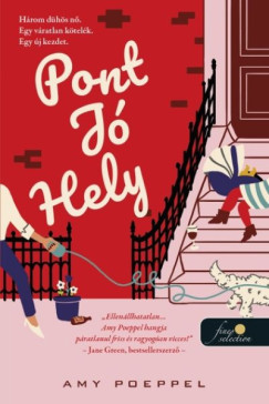 Amy Poeppel - Pont Jó Hely