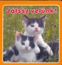 Jtssz  velnk!