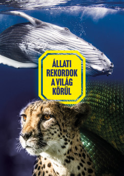 Vida Pter - llati rekordok a vilg krl