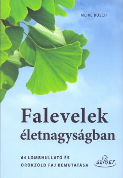 Meike Bosch - Falevelek letnagysgban