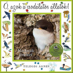 Telegdi gnes -  azok a csodlatos llatok - Madarak nekei