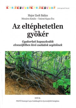 Az eltphetetlen gykr