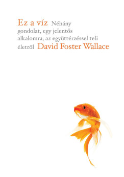 David Foster Wallace - Ez a vz