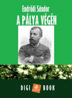 Endrdi Sndor - A plya vgn