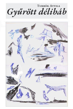 Turb�k Attila - Gy�r�tt d�lib�b
