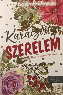 Trisha Ashley - Kar�csonyi szerelem