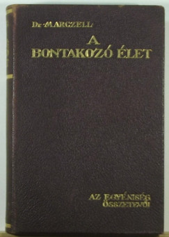 Dr. Marczell Mihly - Az egynisg sszetevi