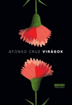 Afonso Cruz - Virgok