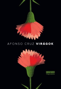 Afonso Cruz - Virgok