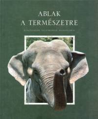 Mirtse Zsuzsa - Mirtse ron - Ablak a termszetre