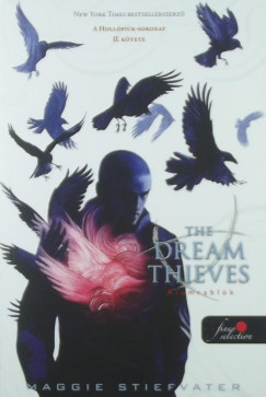 Maggie Stiefvater - The Dream Thieves - lomrablk