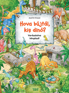 Joachim Krause - Hova bjtl, kis din?