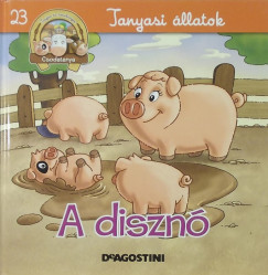 A diszn