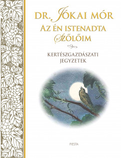 Dr. Jkai Mr - Az n istenadta szlim