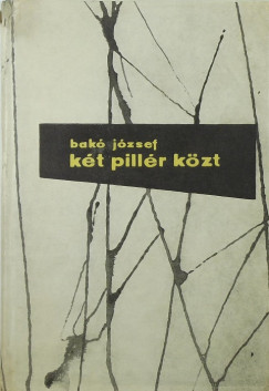 Bak Jzsef - Kt pillr kzt