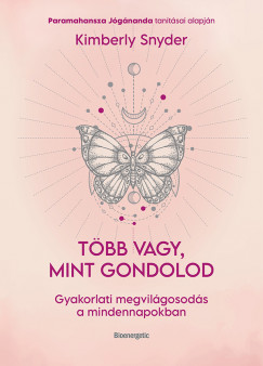 Kimberly Snyder - Tbb vagy, mint gondolod