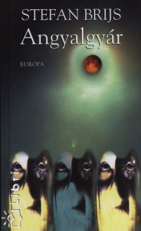 Stefan Brijs - Angyalgyr