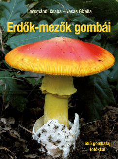 Locsmndi Csaba - Vasas Gizella - Erdk-mezk gombi