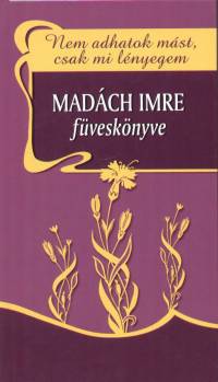 Madch Imre - Nem adhatok mst, csak mi lnyegem