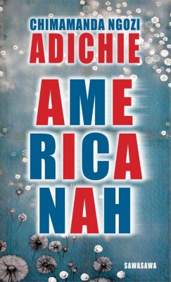 Chimamanda Ngozi Adichie - AMERICANAH