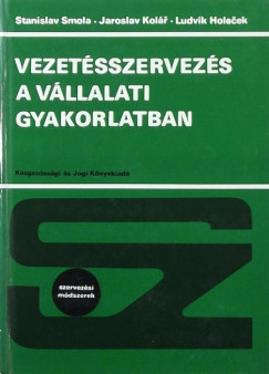 Vezetsszervezs a vllalati gyakorlatban