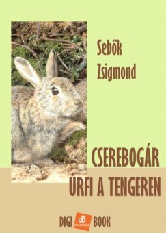 Sebk Zsigmond - Cserebogr rfi a tengeren