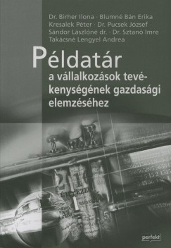 Dr. Birher Ilona - Blumn Bn Erika - Kresalek Pter - Dr. Pucsek Jzsef - Sndor Lszln - Dr. Sztan Imre - Takcsn Lengyel Andrea - Pldatr a vllalkozsok tevkenysgnek gazdasgi elemzshez