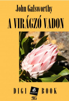 John Galsworthy - A virgz vadon
