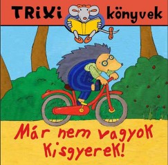Brckner Judit - Mr nem vagyok kisgyerek