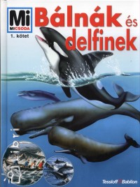 Petra Deimer - Blnk s delfinek