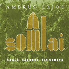 Ambrus Lajos - A somlai