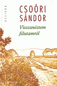 Csori Sndor - Visszanztem flutamrl