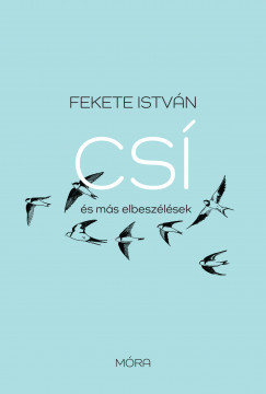 Fekete Istvn - Cs s ms elbeszlsek