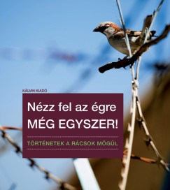 L. Molnr Istvn  (Szerk.) - Magyarn Balogh Erzsbet  (Szerk.) - Nzz fel az gre mg egyszer!