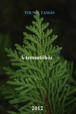 Tolnai Tams - A teremthz