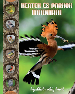 Kertek s parkok madarai