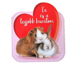 n s a legjobb bartom