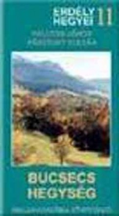 Palczer J�nos - P�sztohy Zolt�n - Bucsecs hegys�g