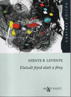 Szente B. Levente - Elaludt fejed alatt a fny