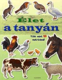 Élet a tanyán